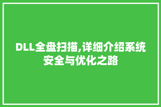 DLL全盘扫描,详细介绍系统安全与优化之路 小程序开发