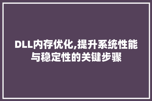 DLL内存优化,提升系统性能与稳定性的关键步骤