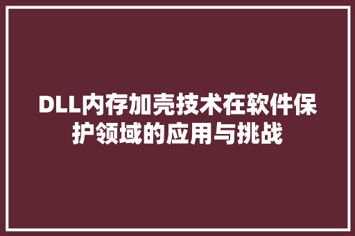 DLL内存加壳技术在软件保护领域的应用与挑战