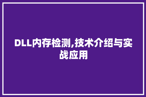 DLL内存检测,技术介绍与实战应用 英文谷歌算法