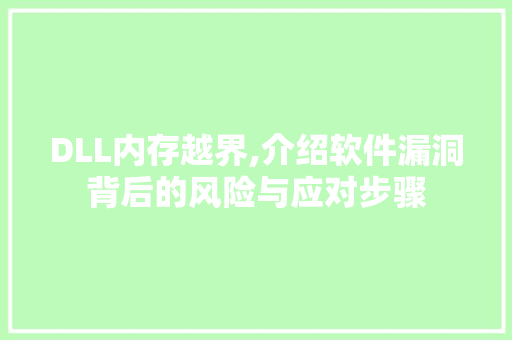 DLL内存越界,介绍软件漏洞背后的风险与应对步骤 seo技术