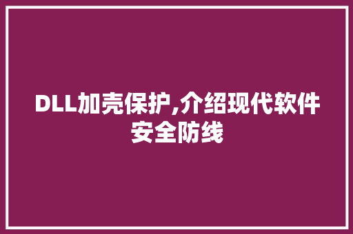 DLL加壳保护,介绍现代软件安全防线 seo技术