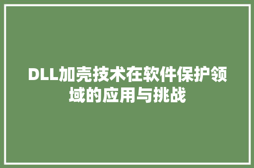 DLL加壳技术在软件保护领域的应用与挑战 360搜优化