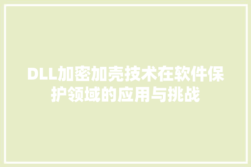 DLL加密加壳技术在软件保护领域的应用与挑战