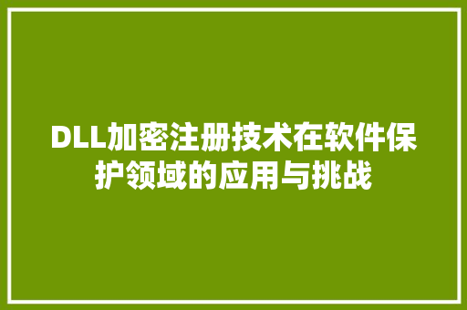 DLL加密注册技术在软件保护领域的应用与挑战 AI技术学习