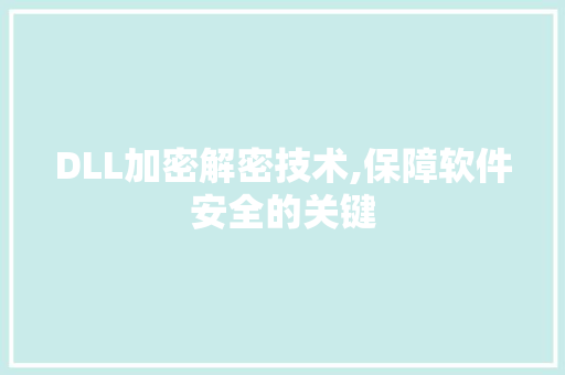 DLL加密解密技术,保障软件安全的关键 英文谷歌算法