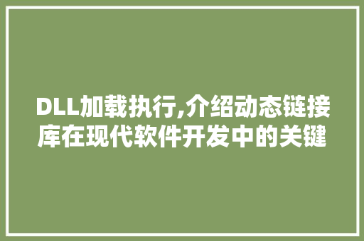 DLL加载执行,介绍动态链接库在现代软件开发中的关键作用 网站优化