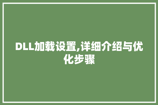 DLL加载设置,详细介绍与优化步骤 网站开发