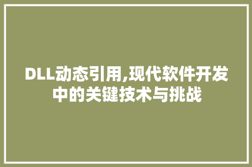 DLL动态引用,现代软件开发中的关键技术与挑战