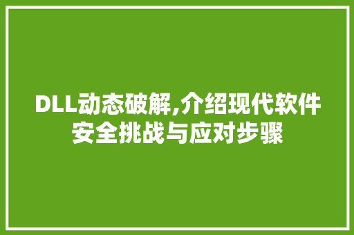DLL动态破解,介绍现代软件安全挑战与应对步骤