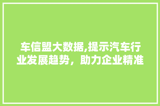 车信盟大数据,提示汽车行业发展趋势，助力企业精准决策