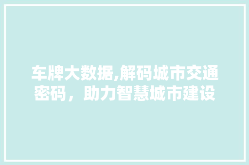 车牌大数据,解码城市交通密码，助力智慧城市建设 seo技术