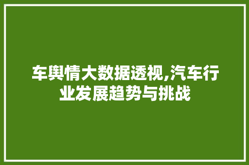 车舆情大数据透视,汽车行业发展趋势与挑战
