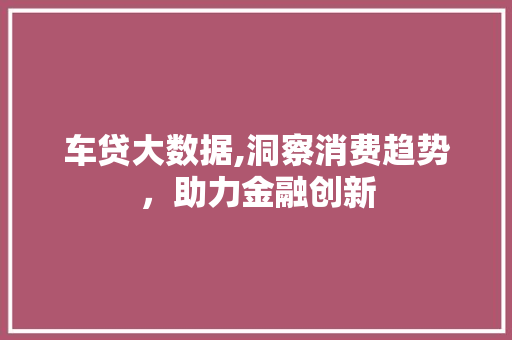 车贷大数据,洞察消费趋势，助力金融创新