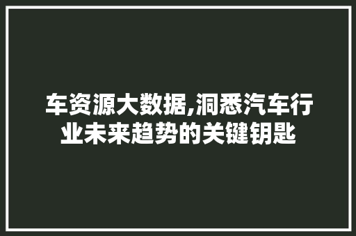 车资源大数据,洞悉汽车行业未来趋势的关键钥匙
