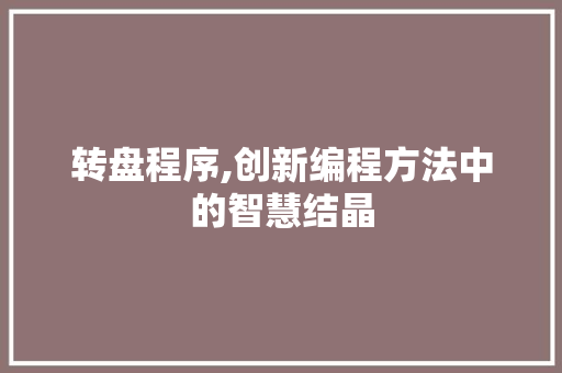 转盘程序,创新编程方法中的智慧结晶