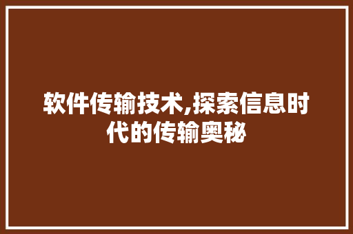 软件传输技术,探索信息时代的传输奥秘
