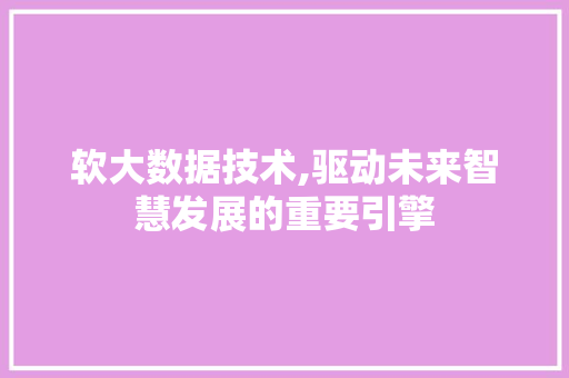 软大数据技术,驱动未来智慧发展的重要引擎