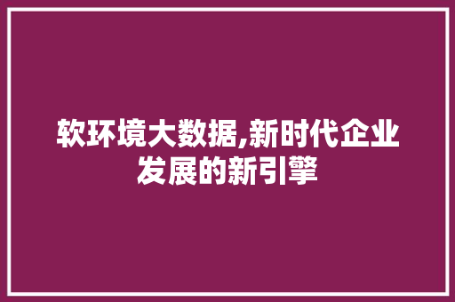 软环境大数据,新时代企业发展的新引擎 网站开发