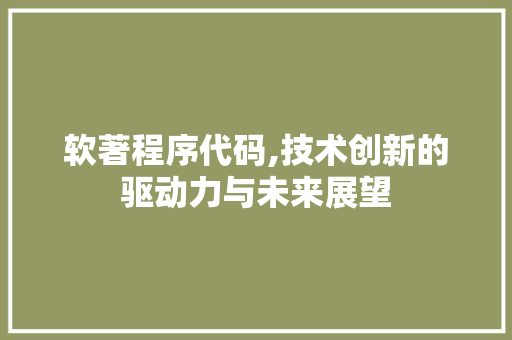 软著程序代码,技术创新的驱动力与未来展望 头条优化