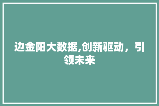边金阳大数据,创新驱动，引领未来