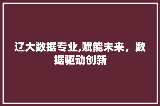 辽大数据专业,赋能未来，数据驱动创新 360搜优化