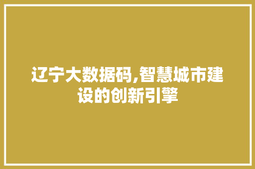 辽宁大数据码,智慧城市建设的创新引擎