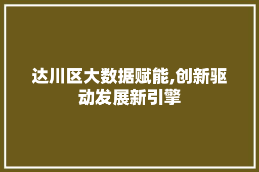 达川区大数据赋能,创新驱动发展新引擎