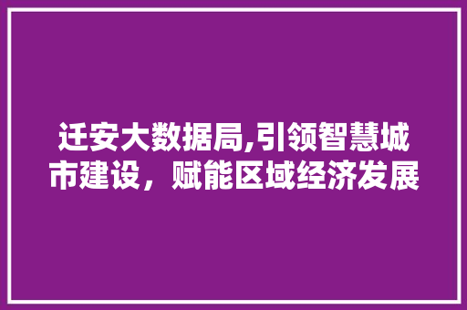 迁安大数据局,引领智慧城市建设，赋能区域经济发展