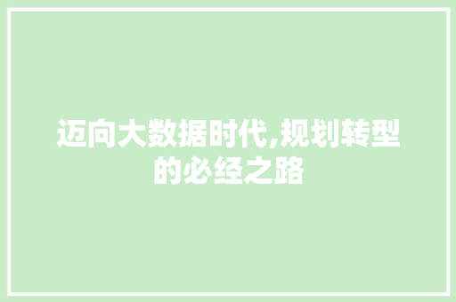 迈向大数据时代,规划转型的必经之路