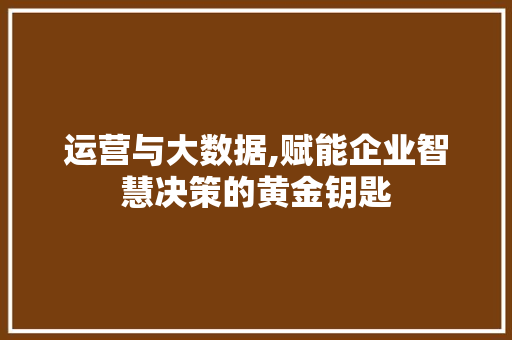 运营与大数据,赋能企业智慧决策的黄金钥匙