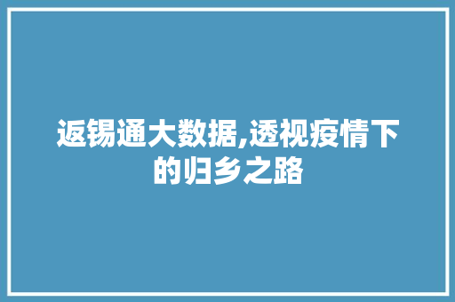 返锡通大数据,透视疫情下的归乡之路