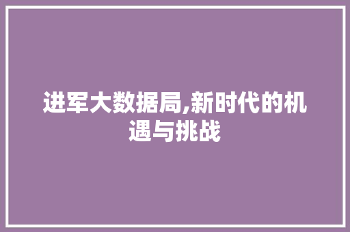 进军大数据局,新时代的机遇与挑战