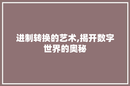 进制转换的艺术,揭开数字世界的奥秘