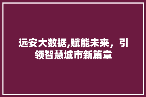 远安大数据,赋能未来，引领智慧城市新篇章