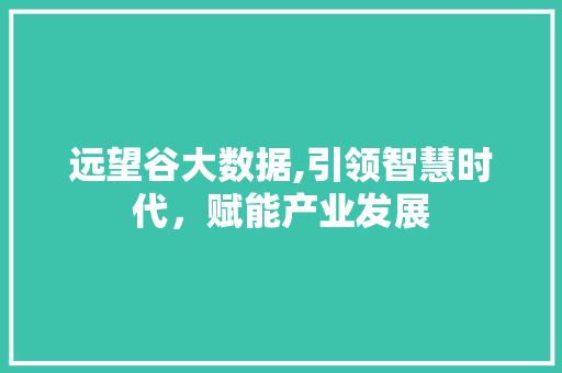 远望谷大数据,引领智慧时代，赋能产业发展