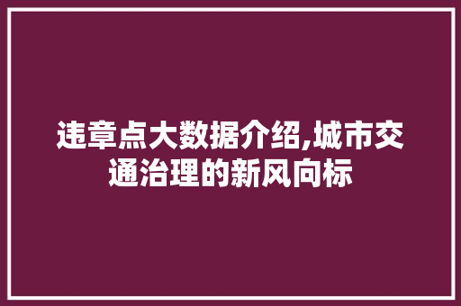 违章点大数据介绍,城市交通治理的新风向标 头条优化