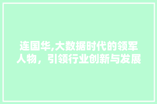 连国华,大数据时代的领军人物，引领行业创新与发展