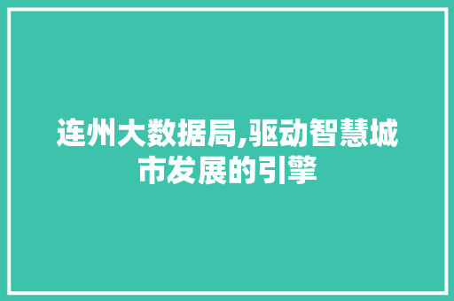 连州大数据局,驱动智慧城市发展的引擎