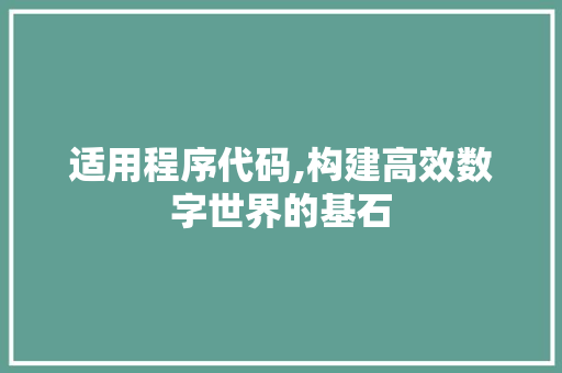 适用程序代码,构建高效数字世界的基石