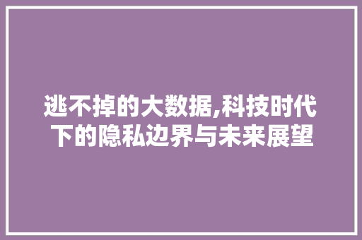 逃不掉的大数据,科技时代下的隐私边界与未来展望