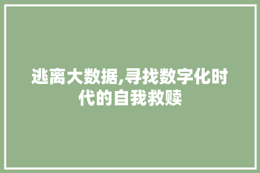 逃离大数据,寻找数字化时代的自我救赎