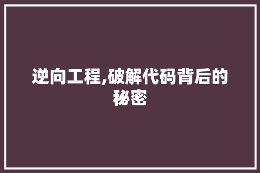 逆向工程,破解代码背后的秘密
