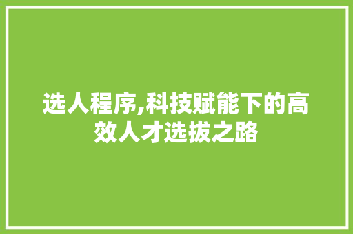 选人程序,科技赋能下的高效人才选拔之路