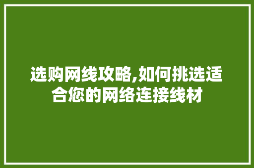 选购网线攻略,如何挑选适合您的网络连接线材