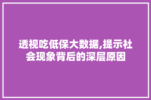 透视吃低保大数据,提示社会现象背后的深层原因 360搜优化