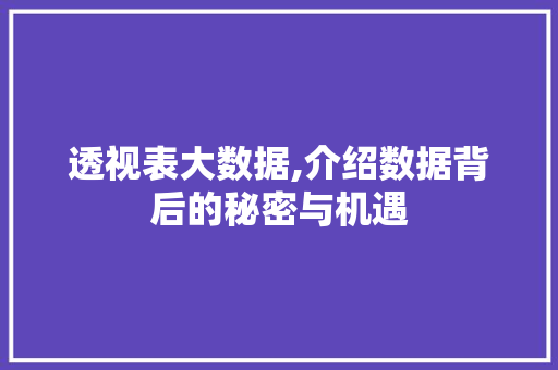 透视表大数据,介绍数据背后的秘密与机遇