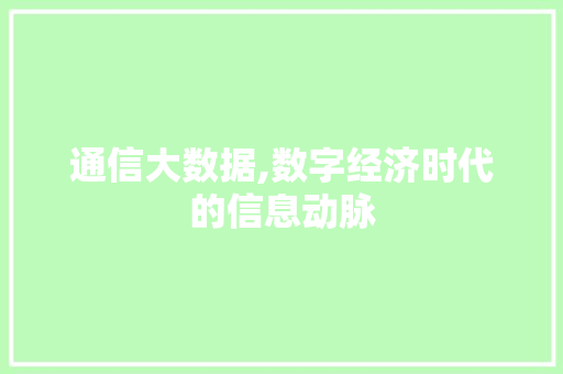 通信大数据,数字经济时代的信息动脉