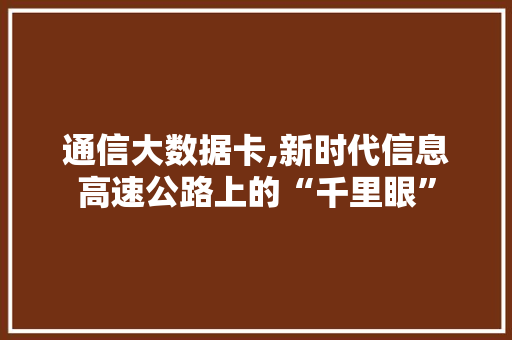 通信大数据卡,新时代信息高速公路上的“千里眼”