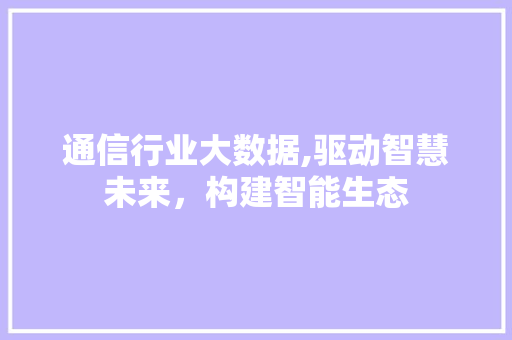 通信行业大数据,驱动智慧未来，构建智能生态